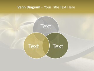 Relaxation Water Spa PowerPoint Template