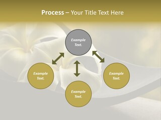 Relaxation Water Spa PowerPoint Template