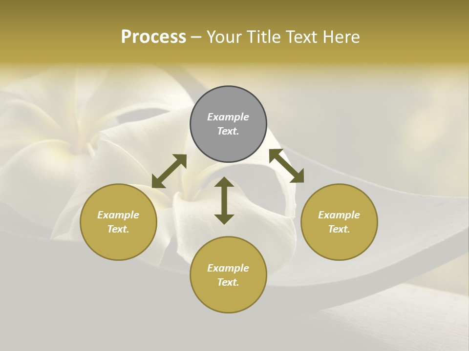 Relaxation Water Spa PowerPoint Template