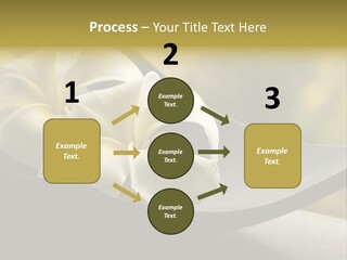 Relaxation Water Spa PowerPoint Template