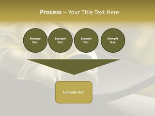 Relaxation Water Spa PowerPoint Template