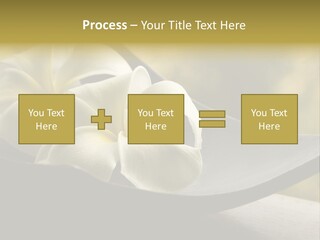 Relaxation Water Spa PowerPoint Template