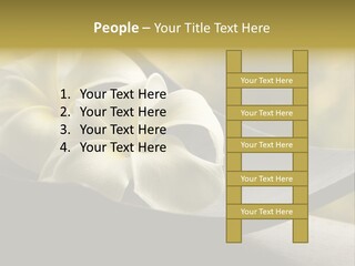 Relaxation Water Spa PowerPoint Template