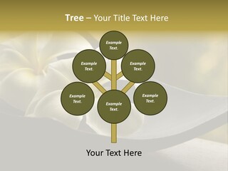 Relaxation Water Spa PowerPoint Template