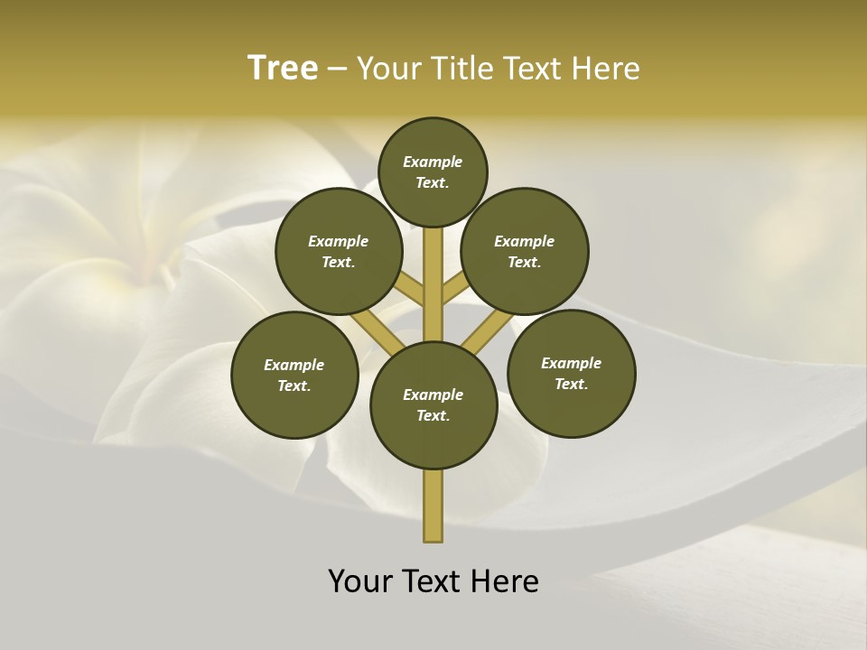 Relaxation Water Spa PowerPoint Template
