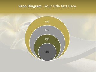 Relaxation Water Spa PowerPoint Template