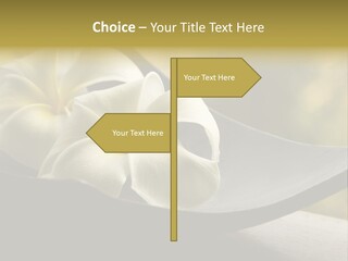 Relaxation Water Spa PowerPoint Template