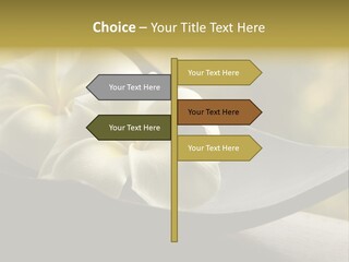 Relaxation Water Spa PowerPoint Template