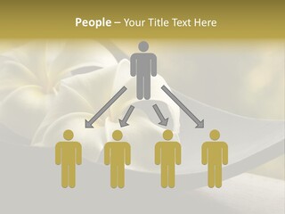 Relaxation Water Spa PowerPoint Template