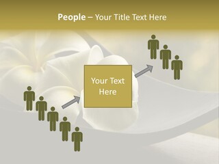 Relaxation Water Spa PowerPoint Template