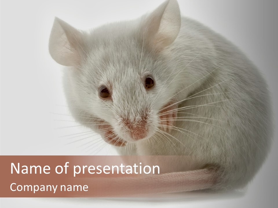 Smelling Funny Parasitic PowerPoint Template