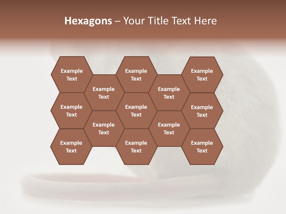 Smelling Funny Parasitic PowerPoint Template