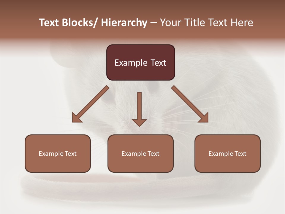 Smelling Funny Parasitic PowerPoint Template
