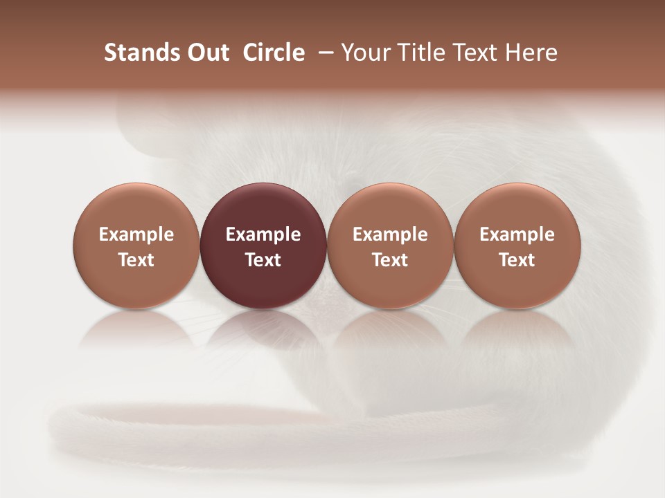 Smelling Funny Parasitic PowerPoint Template