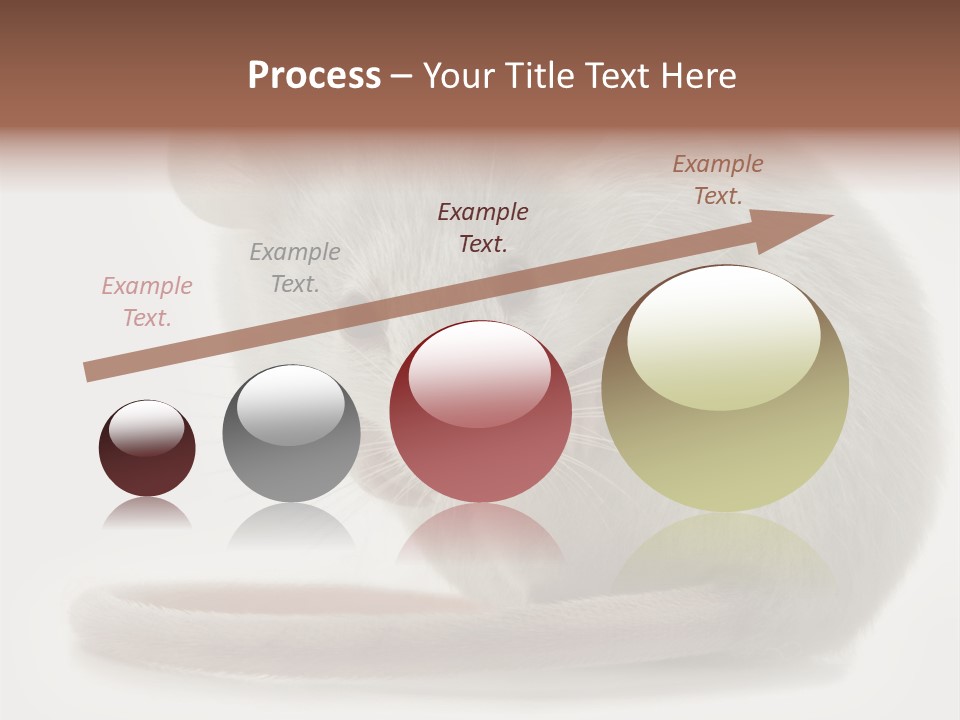 Smelling Funny Parasitic PowerPoint Template