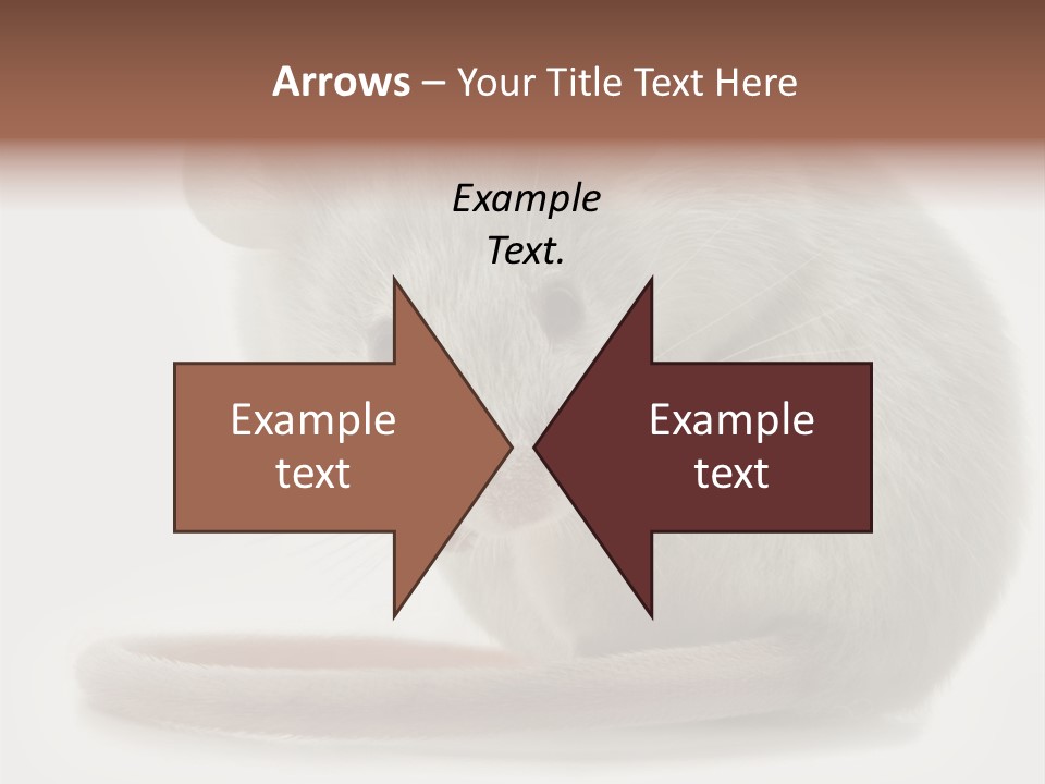 Smelling Funny Parasitic PowerPoint Template