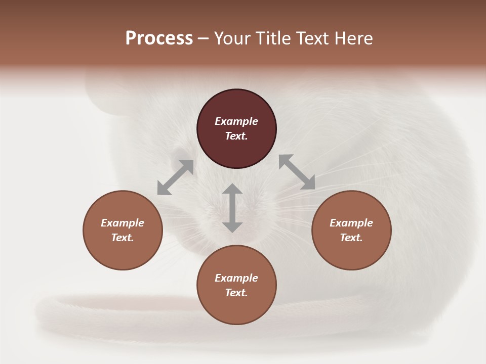 Smelling Funny Parasitic PowerPoint Template