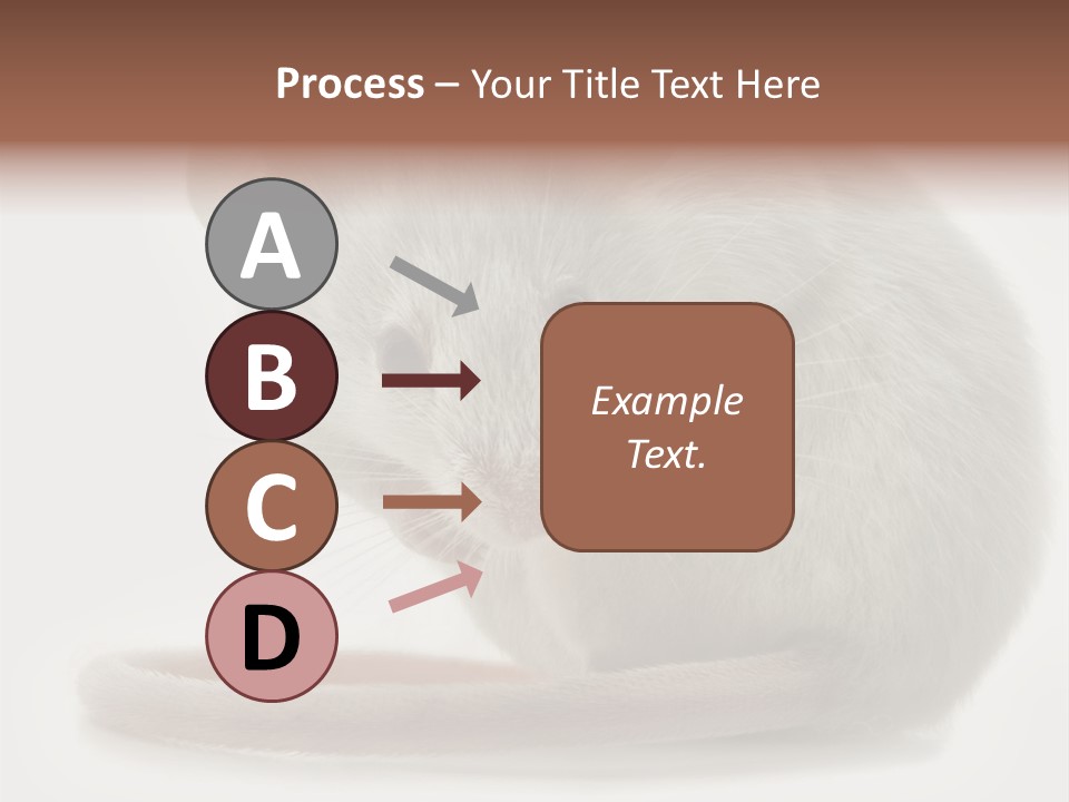 Smelling Funny Parasitic PowerPoint Template