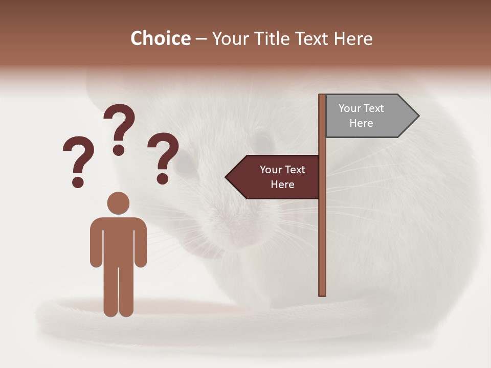 Smelling Funny Parasitic PowerPoint Template