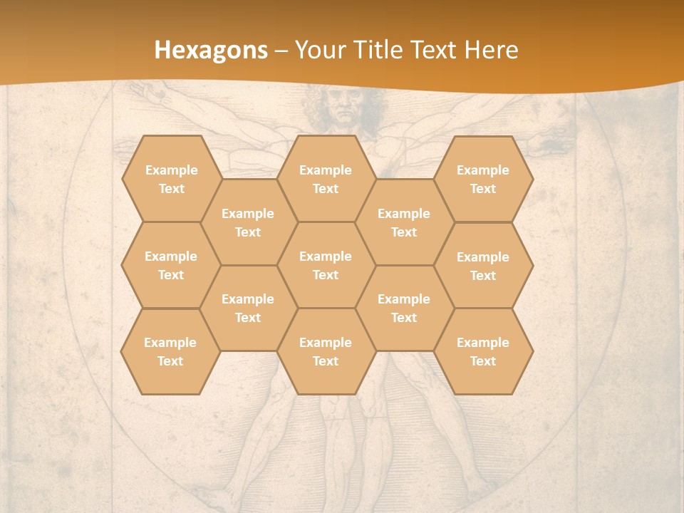Solution Illustration Anatomy PowerPoint Template