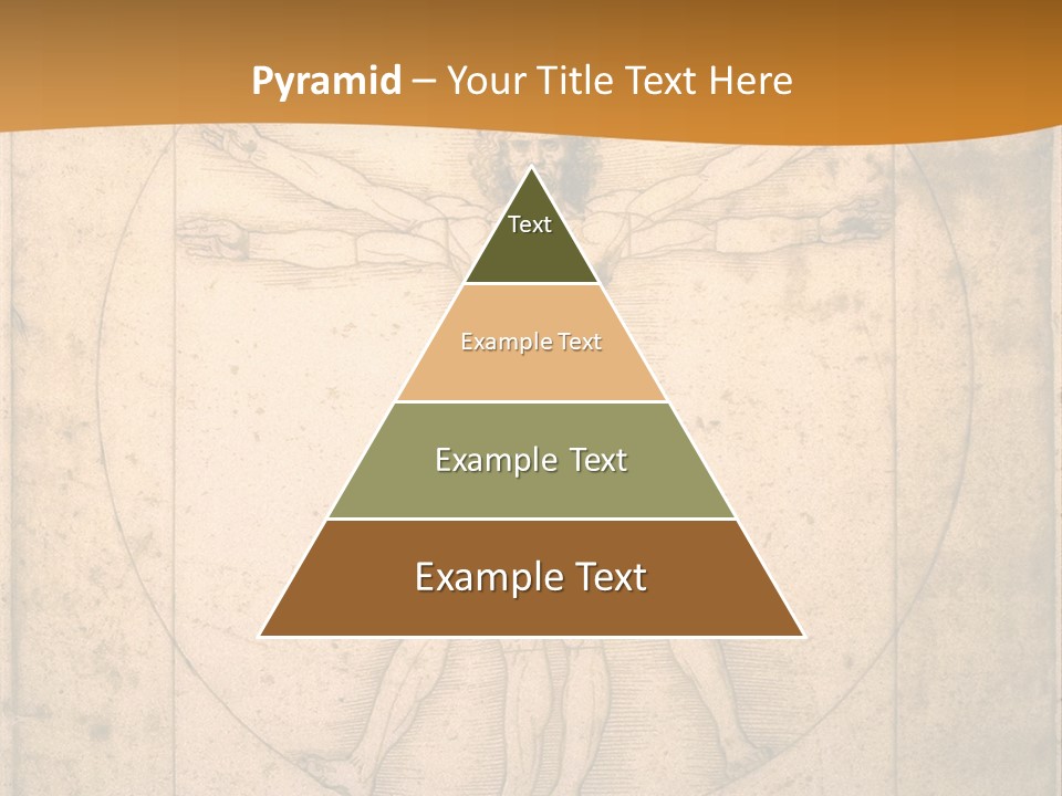 Solution Illustration Anatomy PowerPoint Template