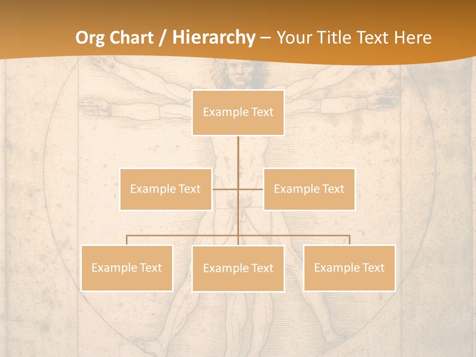 Solution Illustration Anatomy PowerPoint Template