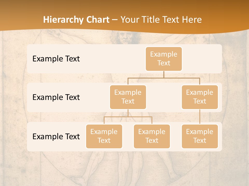 Solution Illustration Anatomy PowerPoint Template