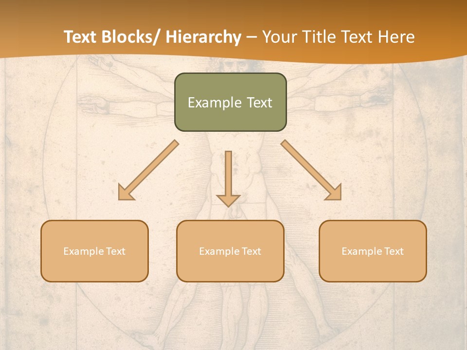 Solution Illustration Anatomy PowerPoint Template