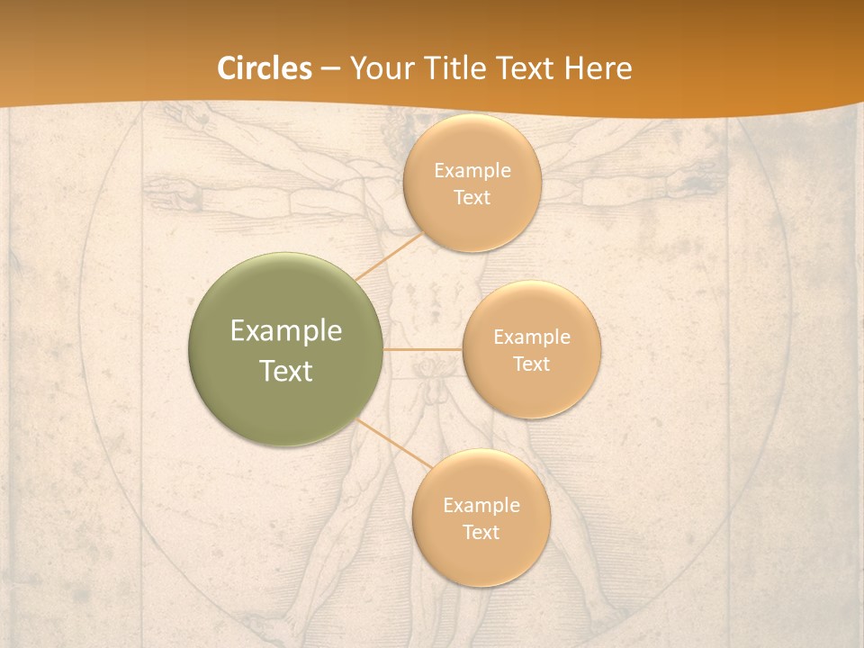 Solution Illustration Anatomy PowerPoint Template