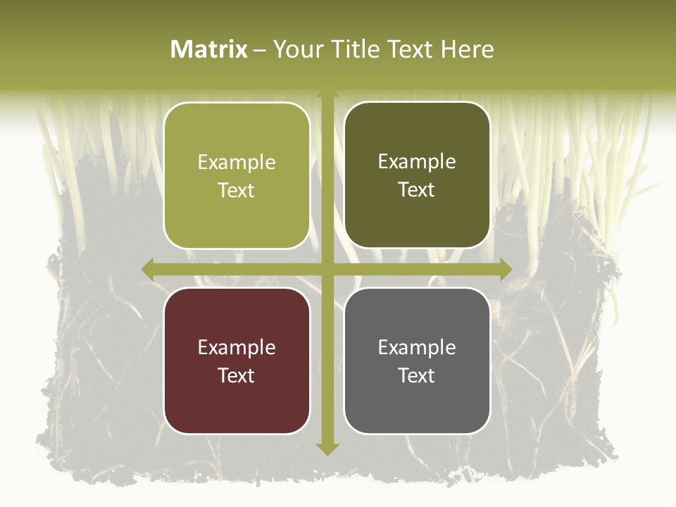 Growing Background Spring PowerPoint Template