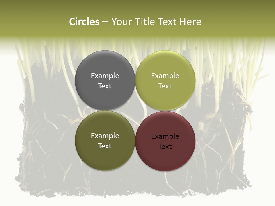 Growing Background Spring PowerPoint Template