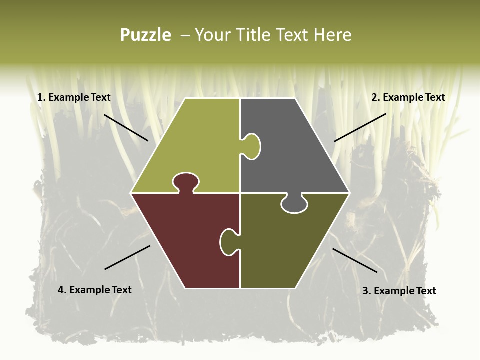 Growing Background Spring PowerPoint Template