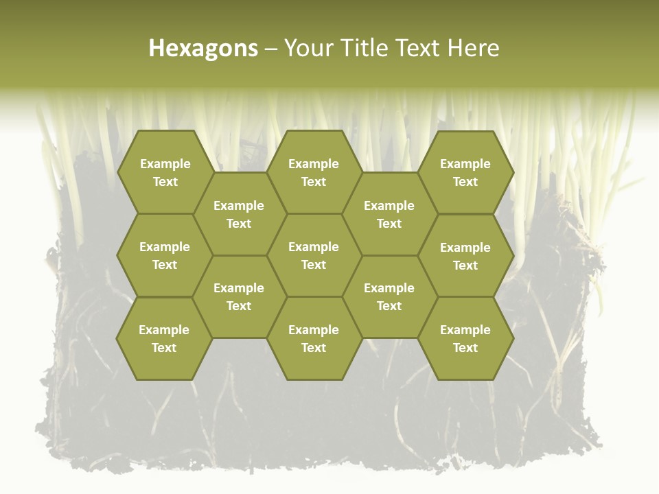 Growing Background Spring PowerPoint Template