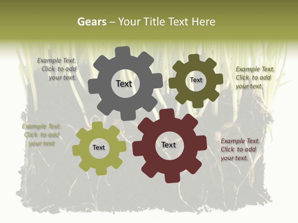 Growing Background Spring PowerPoint Template