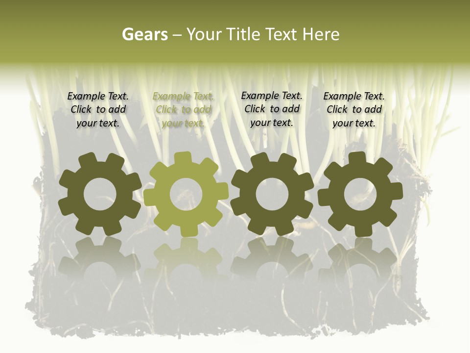 Growing Background Spring PowerPoint Template