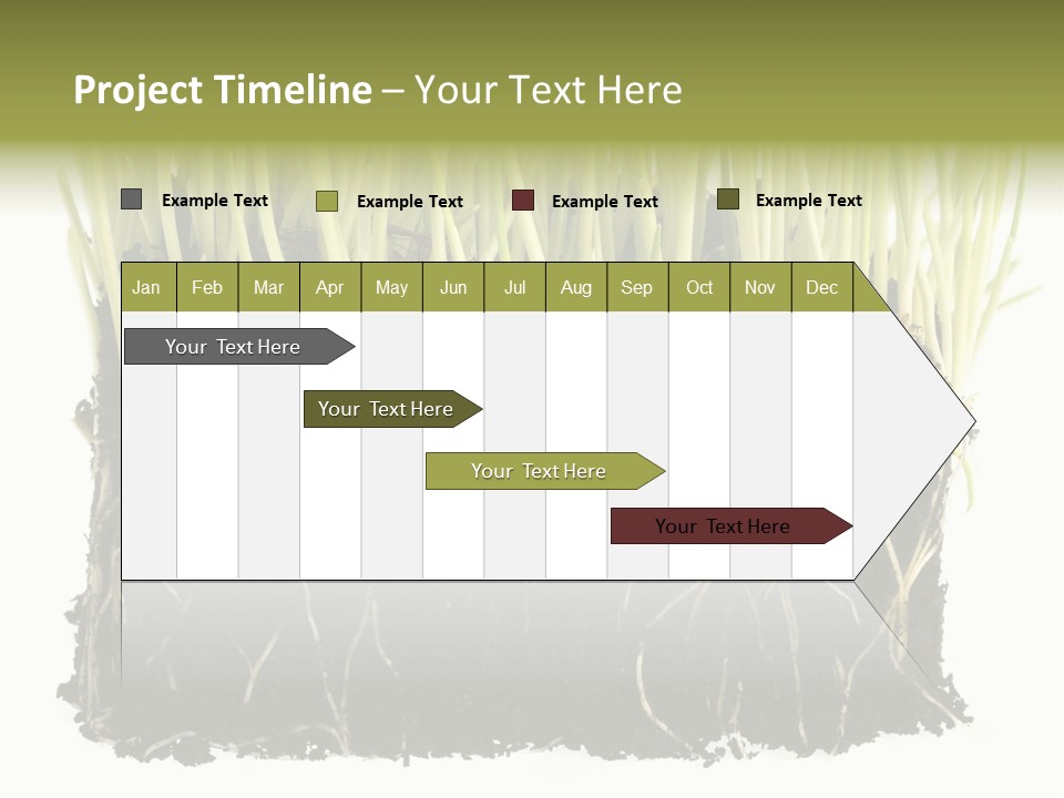 Growing Background Spring PowerPoint Template