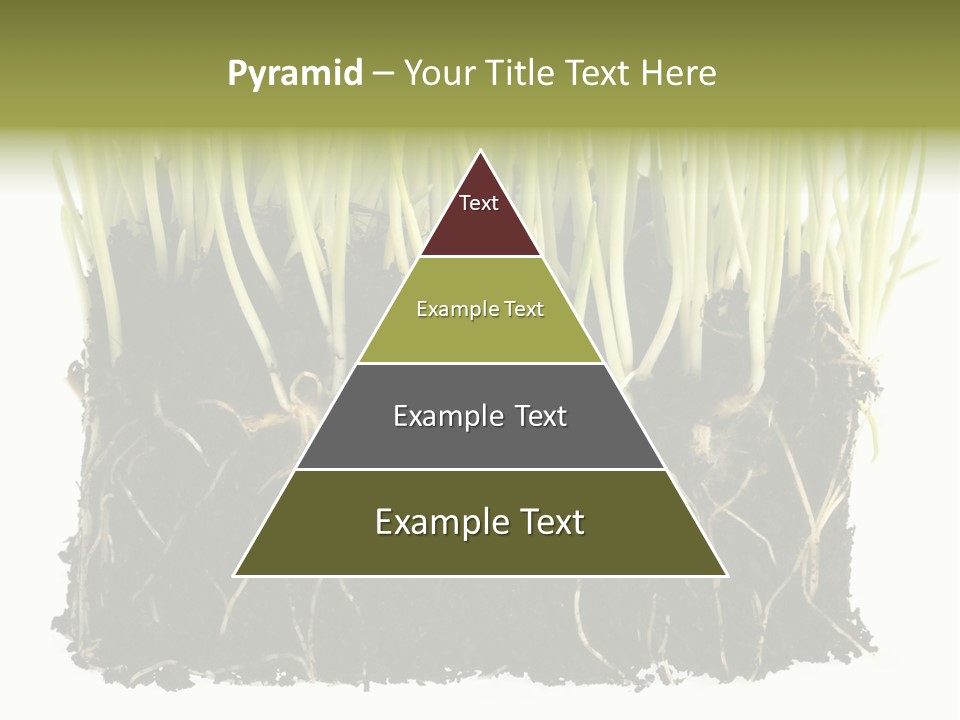 Growing Background Spring PowerPoint Template