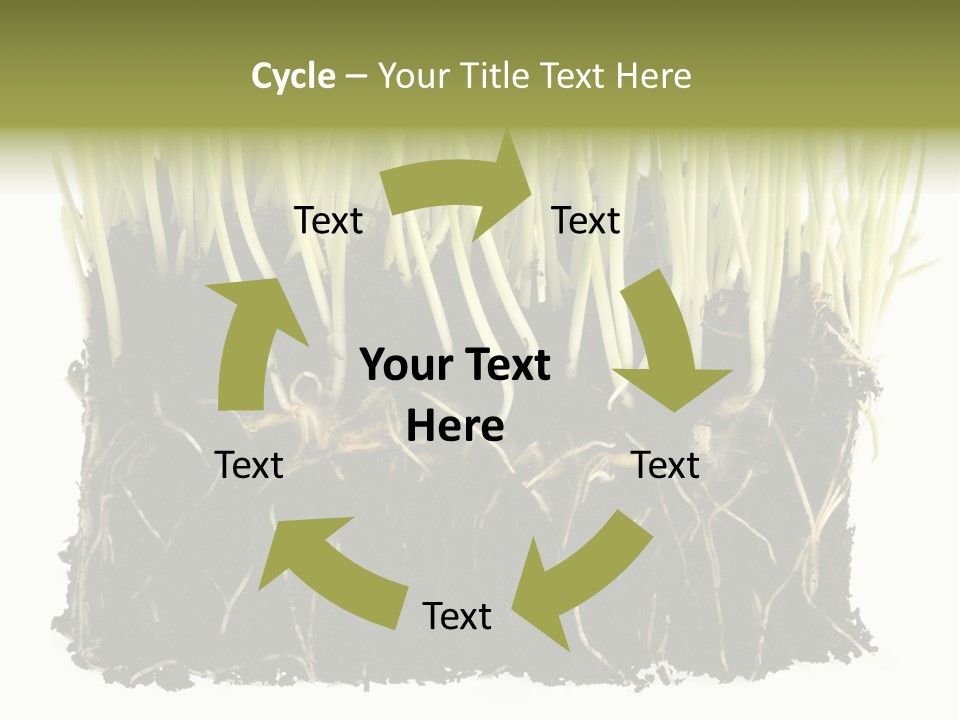 Growing Background Spring PowerPoint Template