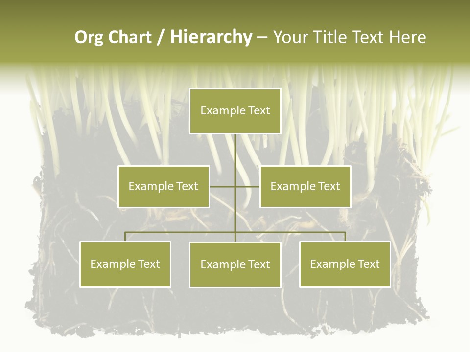 Growing Background Spring PowerPoint Template