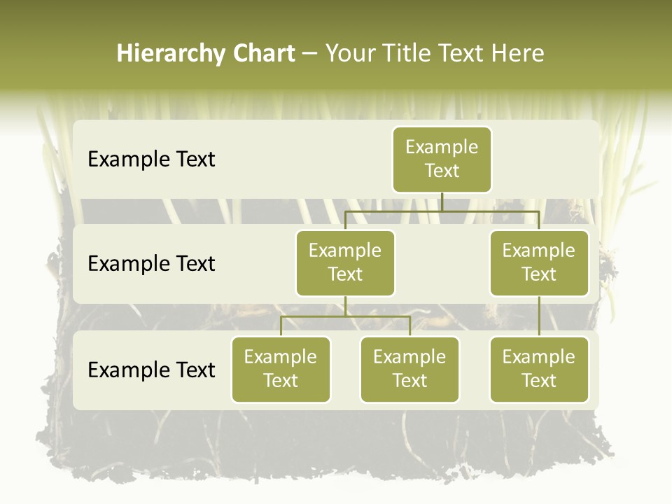 Growing Background Spring PowerPoint Template