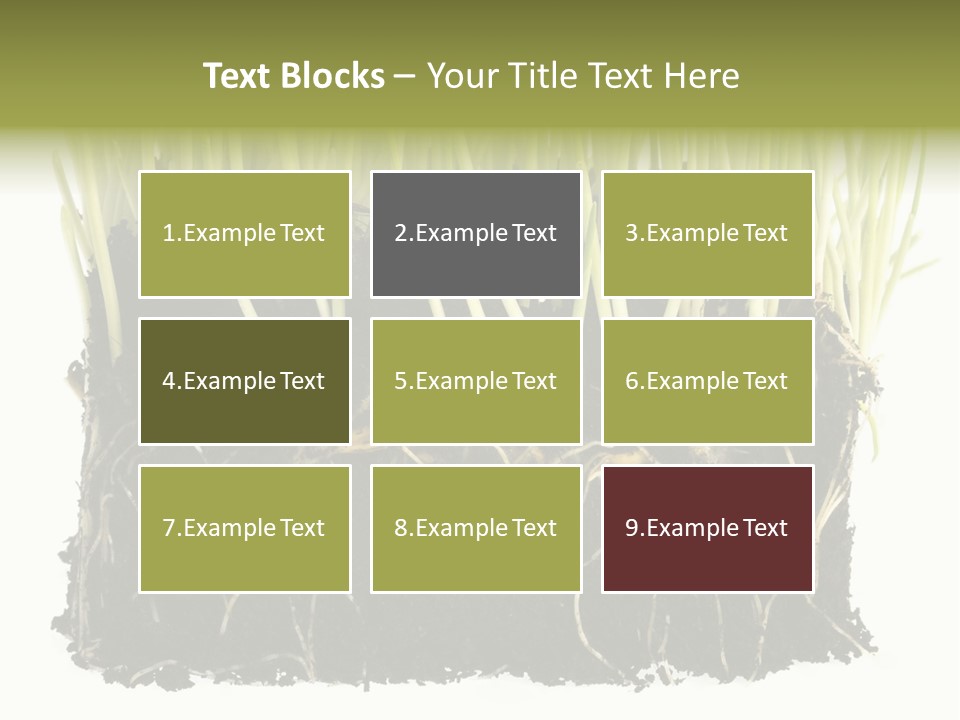 Growing Background Spring PowerPoint Template