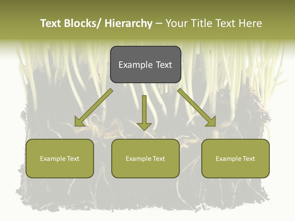 Growing Background Spring PowerPoint Template