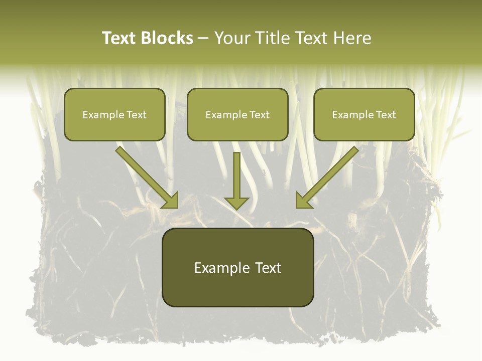 Growing Background Spring PowerPoint Template