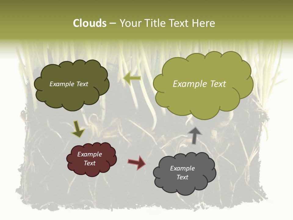 Growing Background Spring PowerPoint Template