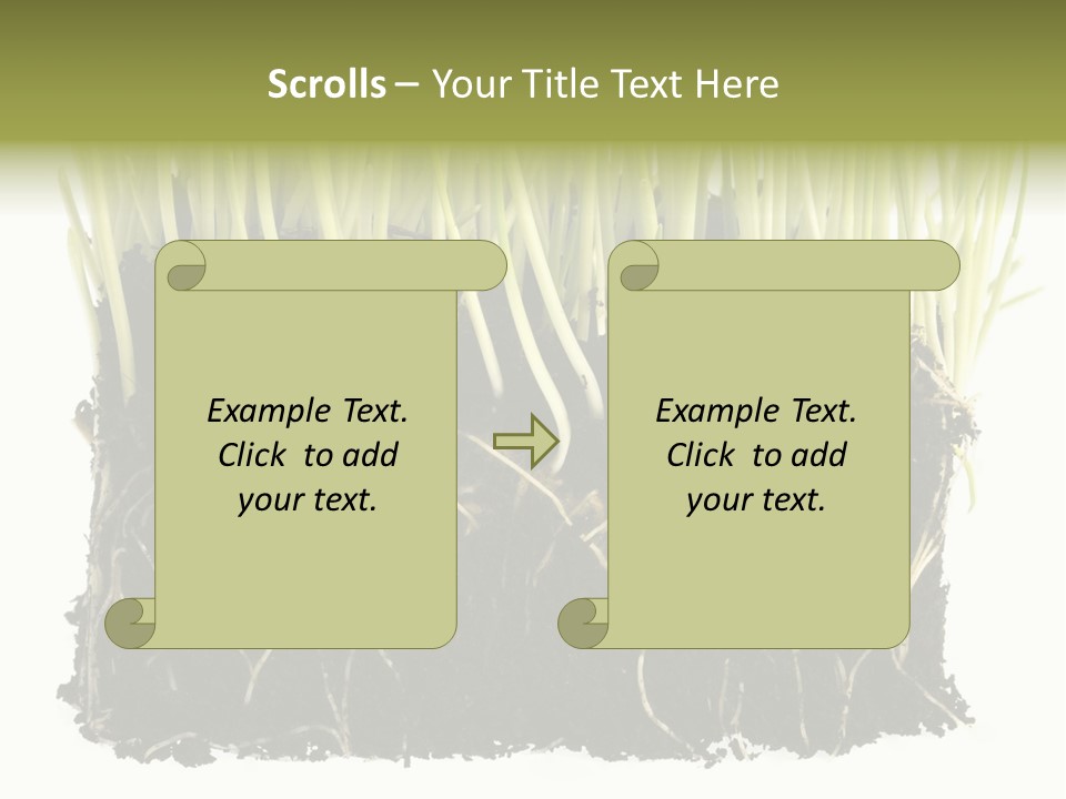 Growing Background Spring PowerPoint Template
