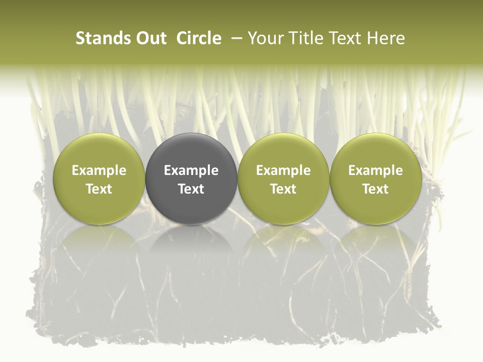 Growing Background Spring PowerPoint Template