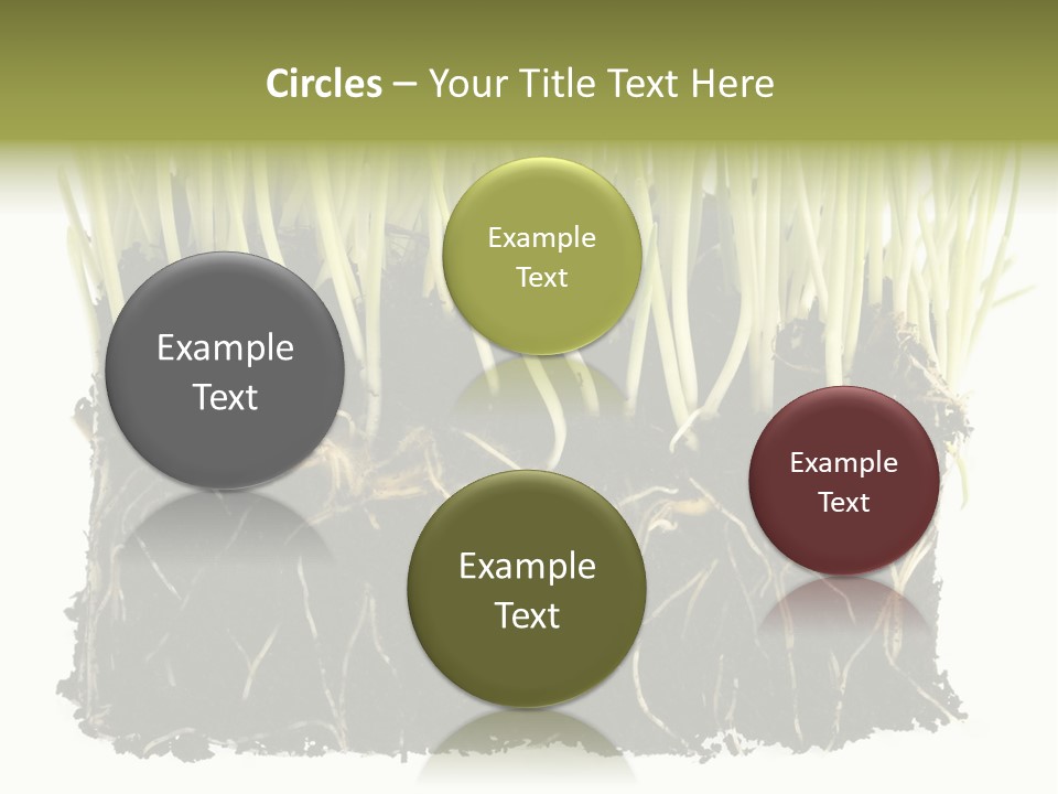 Growing Background Spring PowerPoint Template