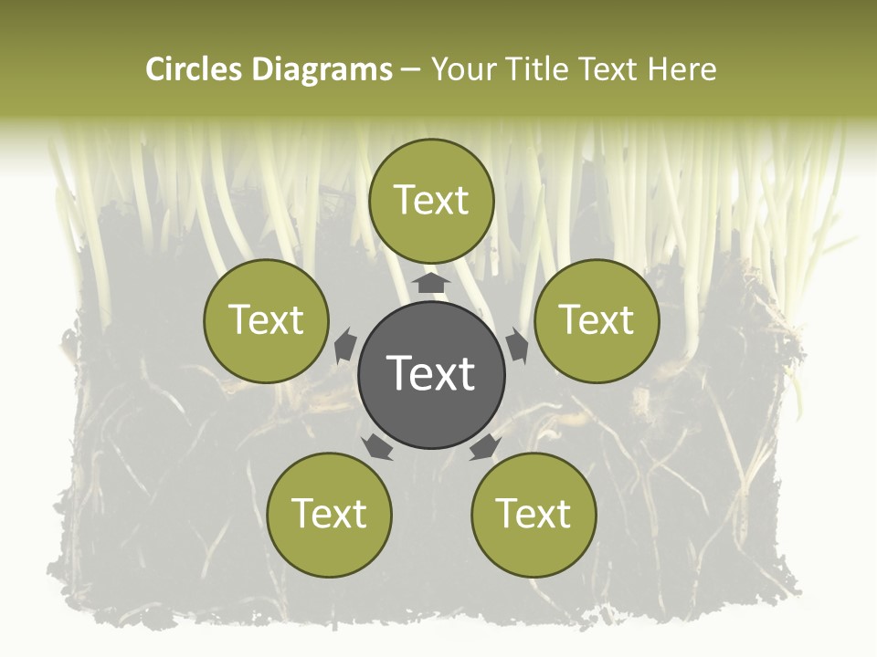 Growing Background Spring PowerPoint Template