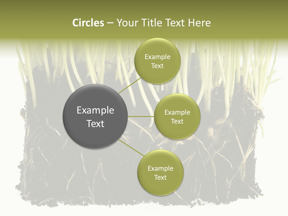 Growing Background Spring PowerPoint Template