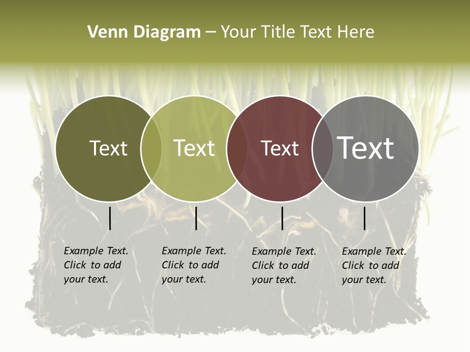 Growing Background Spring PowerPoint Template